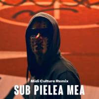 Sub pielea mea_Carla's Dreams