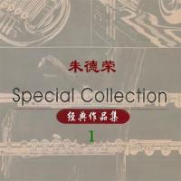 姹紫嫣红中国年_王丽达