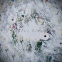 Winter Flowers_The Hound + The Fox