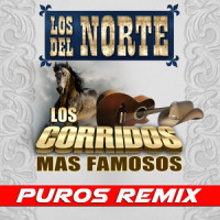 Corrido De El Popillo/Corrido De Fernando Ortiz/Corrido Del Lic. Solis_Los Ases de Durango