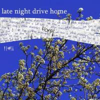Pillow Monsters_late night drive home