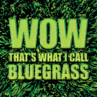 Orance Blossom Special_The Nashville Grass,Lester Flatt