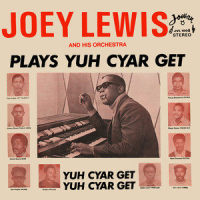 Love Theme from the Godfather_Joey Lewis and His Orchestra,Nino Rota