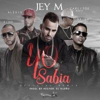 Yo sabía(feat. Alexis & Fido, De La Ghetto y Carlitos Rossy)_Jey M,Fido,Carlitos Rossy,De La Ghetto,Alexis