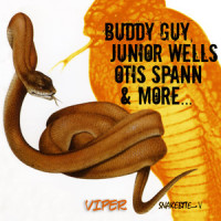 Two Headed Woman_Buddy Guy,Junior Wells,Otis Spann