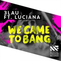 We Came To Bang(feat. Luciana)_3LAU,Luciana