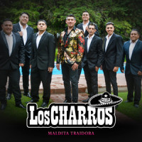 Maldita Traidora_Los Charros,Irene Romero