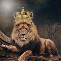 My African Princess_De La Cruz