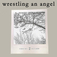 Wrestling an Angel_Carolina Liar