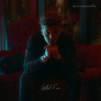 What If We_Bad Habits