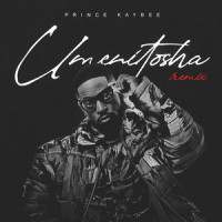 Umenitosha_Prince Kaybee,Beyond Chicago,Polaris