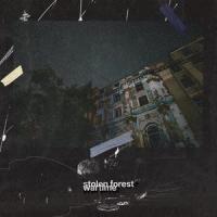 From a bomb shelter (feat. Hot Sugar)_Stolen Forest,Hot Sugar