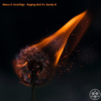 Raging Bull_Manu,VxwllVgz,Sandy N,Manuel