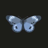 Butterfly_Josh Garrels