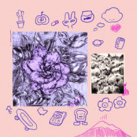 In Bloom_Marcus D