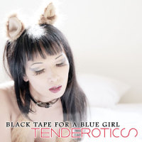 The Pleasure in the Pain_Black Tape For A Blue Girl,Katzenjammer Kabarett
