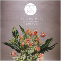 I Belong Here_Set Mo,Woodes,Crookers,Nicholas Drabble,Stuart Turner,Elle Graham,Paul Brandoli,Francesco Barbaglia