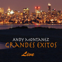 Un Verano En Nueva York_Andy Montañez