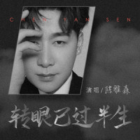 转眼已过半生_陈雅森
