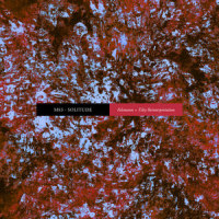Solitude_M83,Felsmann + Tiley