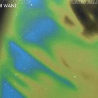 EVERYTHING I WANT_Leven Kali