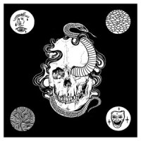 Last of the Acid Cowboys_Evolfo
