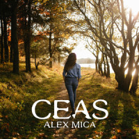 Ceas_Alex Mica