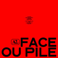 Face ou pile_Muddy Monk,Guillaume Dietrich