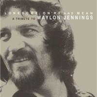 Are You Sure Hank Done It This Way?_Robert Earl Keen