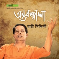 Ami Aar Pari Na Re_Bari Siddiqui