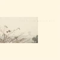 Your Rabbit Feet_Wild Nothing