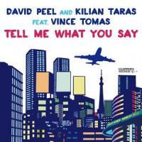 Tell Me What You Say_David Peel,Kilian Taras,Vince Tomas
