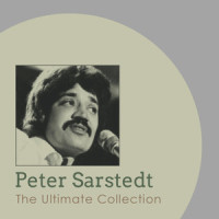 Don't Bury Your Love_Peter Sarstedt
