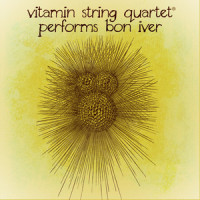 Skinny Love_Vitamin String Quartet