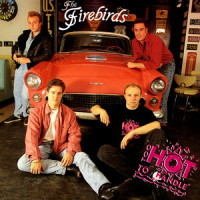 Everything About You_The Firebirds,John Plummer