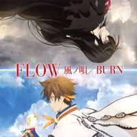 BURN_FLOW