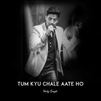 Tum Kyu Chale Ate Ho_Shantanu Avinashi,Vicky Singh,Rahul Dobwal