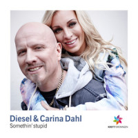 Somethin' Stupid_Diesel Dahl,Carina Dahl,Hardcore Trubadours