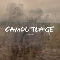 Still_Camouflage