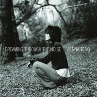 Transcontinental, 1:30 A.M._Vienna Teng