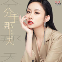 分手那天_伍珂玥