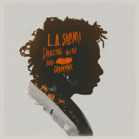I Can't Slow Her Down_L.A. Salami