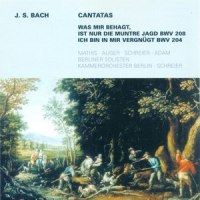 Recitative: Ihr Seelen, die ihr ausser euch stets in die Irre lauft_Arleen Augér,Peter Schreier,Berlin Chamber Orchestra
