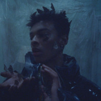 isaac's insects_Isaac Dunbar