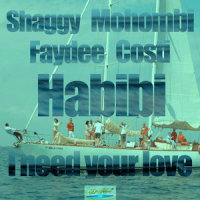 I Need Your Love_Shaggy,Faydee,Mohombi,Costi