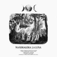 La Luna_Mandragora