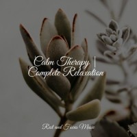 Easy Breeze_Asian Zen Spa Music Meditation,Sleepy Times,Yoga Music