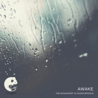 Awake_Tim Schaufert,Cashforgold