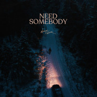 Need Somebody_Always Never