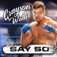WWE: Say So (Grayson Waller)_WWE,def rebel